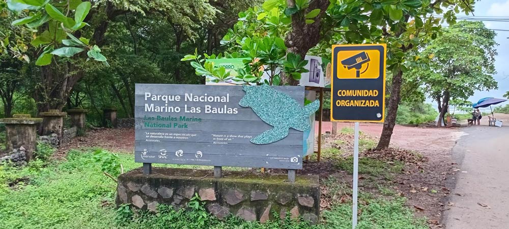 Parque-marino-las-baulas-flor-y-bambu