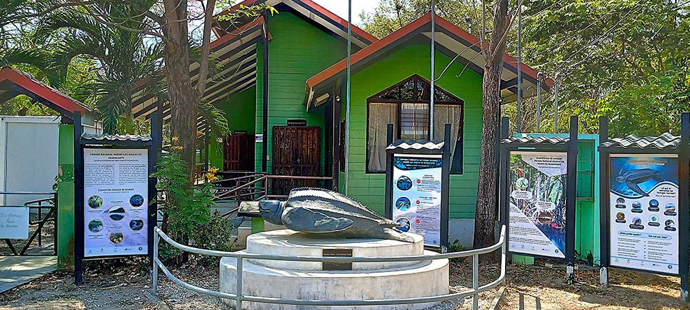 Parque-nacional-marino-las-baulas