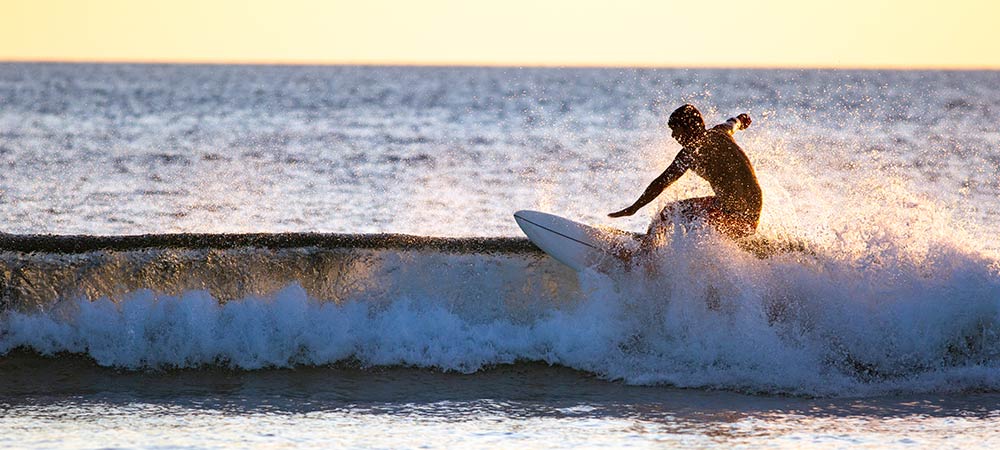 surfing-grande-flor-y-bambu